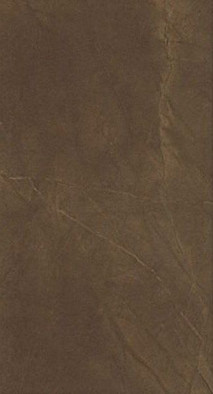 Настенная плитка Marvel Bronze Luxury 30.5x56 керамическая