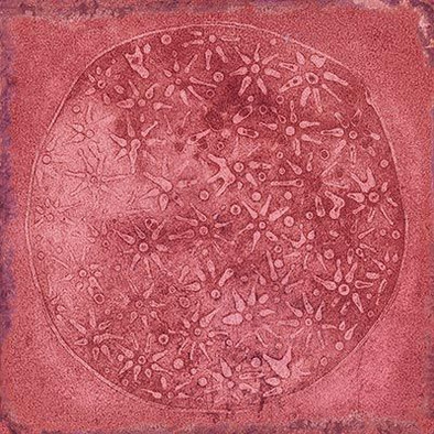 Декор Carlo Granate-B 20x20 глянцевый керамический