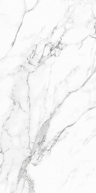 Керамогранит Statuario Infinity 60х120 NT Ceramic Bright And Shiny матовый универсальный NTT9125M фото Керамогранит Statuario Infinity 60х120 NT Ceramic Bright And Shiny матовый универсальный NTT9125M