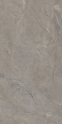 Керамогранит Silver Grey Silk Rt 60х120 Keope сатинированный универсальный 2ASK фото Керамогранит Silver Grey Silk Rt 60х120 Keope сатинированный универсальный 2ASK