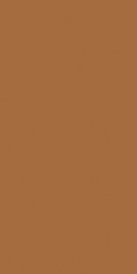 Керамогранит Exotic Light Brown 60х120 Ocean ceramic матовый универсальная плитка OC0000205