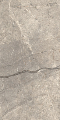 Керамогранит Anima Futura Amazing Silver 60x120 Liscio Matt Caesar матовый универсальная плитка AIAV