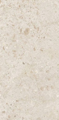 Керамогранит Bierzo Marfil 60х120 Grespania Ceramica S.A. матовый универсальный 44BZP79