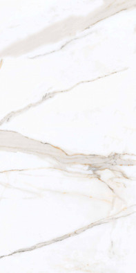 Керамогранит PR203 Regal Carara Primavera 60x120 полированный универсальный