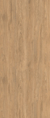 Керамогранит Oakwood Honey Shape Tech 120х280 Staro Slab Matt матовый универсальная плитка УТ-00000262