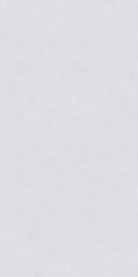 Керамогранит Butterfly ZA-B12503 MR 60х120 Vizavi матовый универсальная плитка