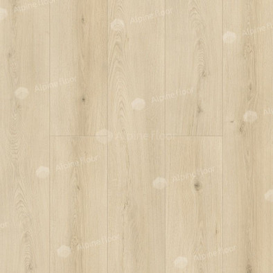 SPC ламинат Alpine Floor ЕСО 11-26 Гранд Секвойя Кипарисовая Grand Sequoia 43 класс 1220х183х4 мм (каменно-полимерный) фото SPC ламинат Alpine Floor ЕСО 11-26 Гранд Секвойя Кипарисовая Grand Sequoia 43 класс 1220х183х4 мм (каменно-полимерный)