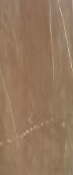 Керамогранит Pulpis Sand 60x120 глянцевый