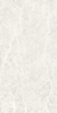Керамогранит Star Gray Light Polished 60х120 Novin Ceram Yazd Tile Co полированный универсальный N8454T44