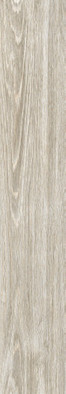 Керамогранит Forest Essenze Grey20х120 Absolut Gres матовый универсальная плитка AB 1169W