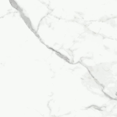 Керамогранит NR104 Dalim white Primavera 60x60 матовый универсальный 00000190232