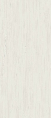 Керамогранит Marvel Bianco Dolomite 120x278 Lappato