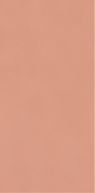Настенная плитка Neve Creative Blush Poler Paradyz Ceramika 9.8x19.8 глянцевая керамическая 5902610552991