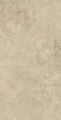 Керамогранит Lims Grey 37,5x75 (A3DW) матовый