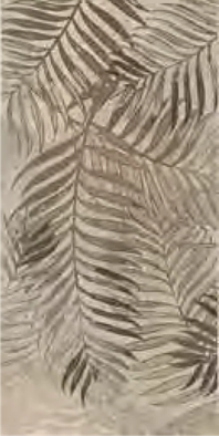 Керамогранит СП1224 Wallpapers Bronze Fern 60х120 rett (тон R085D)_D303524 Dado Ceramica матовый универсальный