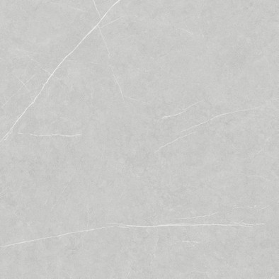 Керамогранит Allure Light Grey Soft 120х120 Living Ceramics матовый напольная плитка LV11104