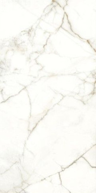 Керамогранит Rhapsody Emotion Lev.Ret. 60x120 универсальный полированный