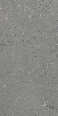Керамогранит G213-Arkaim Grey Аркаим Серый Матовый 60х120 Гранитея универсальная плитка