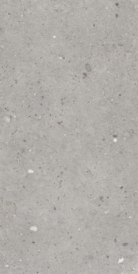 Керамогранит Grigio Provenza 60x120 матовый универсальный EGP1