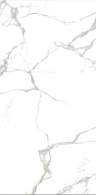 Керамогранит MSZ 040 60x120 Globus Ceramica полированный универсальный фото Керамогранит MSZ 040 60x120 Globus Ceramica полированный универсальный