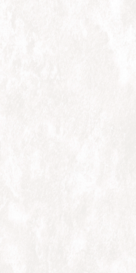 Керамогранит K-701/MR Централ Парк White 60х120 см (толщина 10 мм) Kerranova глазурованный, матовый универсальный 98475