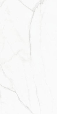 Керамогранит Status Natural 6 mm 120x240 Azulejos Benadresa матовый универсальный n140454 фото Керамогранит Status Natural 6 mm 120x240 Azulejos Benadresa матовый универсальный n140454