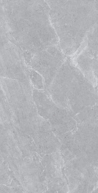 Керамогранит Ascot Grey Matt 60х120 Usak Seramik матовый универсальный