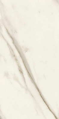 Керамогранит Marvel Meraviglia Calacatta Bernini 30x60 Lapp. Atlas Concorde Italy полированный универсальный AJJG фото Керамогранит Marvel Meraviglia Calacatta Bernini 30x60 Lapp. Atlas Concorde Italy полированный универсальный AJJG