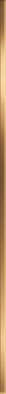 Бордюр Shik Gold BW0SHI09 1.3x75 глянцевый керамический фото Бордюр Shik Gold BW0SHI09 1.3x75 глянцевый керамический
