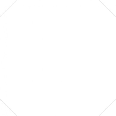 Керамогранит Octo Element Blanco 25x25 универсальный матовый