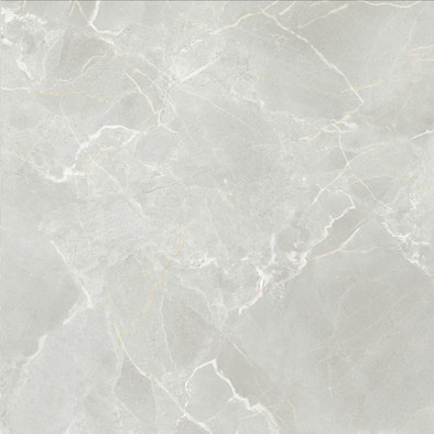 Керамогранит Marble Cloud 60х60 ProGRES Ceramica матовый универсальная плитка NR0381