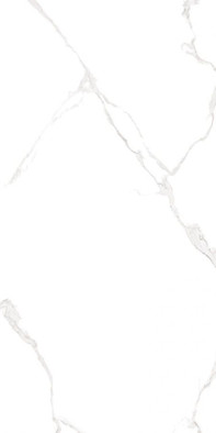 Настенная плитка Elemento Bianco Carrara WT9ELT00 AltaCera 25x50 глянцевая керамическая фото Настенная плитка Elemento Bianco Carrara WT9ELT00 AltaCera 25x50 глянцевая керамическая