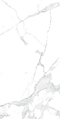 Керамогранит Paradise Statuario 60х120 Gi Arcadia Ceramica матовый универсальная плитка GI8005-A