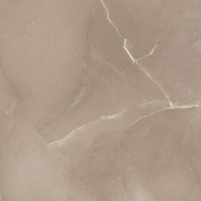 Напольная плитка Passion Lux 60 Taupe керамическая