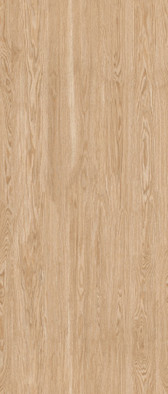 Керамогранит Oakwood Peanut Shape Tech 120х280 Staro Slab Matt матовый универсальная плитка УТ-00000263