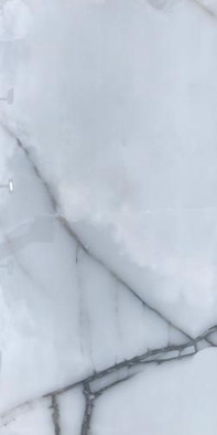 Керамогранит Onyx Artic 60x120 Vita полированный универсальный фото Керамогранит Onyx Artic 60x120 Vita полированный универсальный