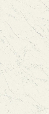 Настенная плитка Marvel Carrara Pure 50x120 матовая керамическая