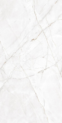 Керамогранит Valencia Silver Grey CR 60x120 Arcadia Ceramica полированный универсальный CR4007-A