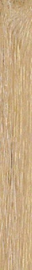 Керамогранит Forest Rovere 20x120x0,55 фото Керамогранит Forest Rovere 20x120x0,55