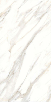 Керамогранит Calacatta Gold Matt Absolut Gres 60х120 матовый универсальный