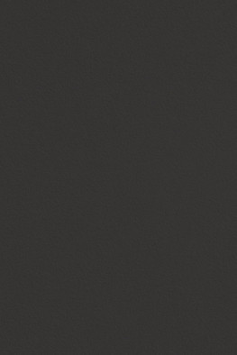 Керамогранит Silk Negro Natural Inalco 100x250 матовый универсальный УТ0025053 фото Керамогранит Silk Negro Natural Inalco 100x250 матовый универсальный УТ0025053