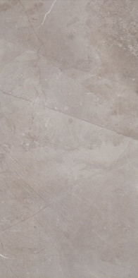 Настенная плитка W- Silver-29,8x59,8 глянцевая керамическая