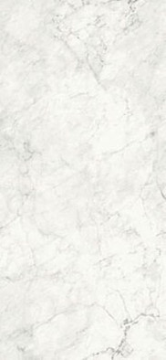 Керамогранит AeCal612Rm 60х120 La Faenza Monoceram матовый универсальный