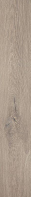 Керамогранит Roots Taupe Matt R9 20x120 Fap Ceramiche матовый универсальный 36920 фото Керамогранит Roots Taupe Matt R9 20x120 Fap Ceramiche матовый универсальный 36920