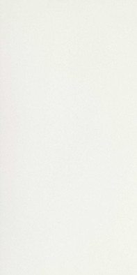 Керамогранит Black and White White High-Gloss 30x60 Ret (754464) Floor Gres полированный универсальный