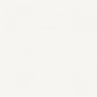 Керамогранит Italica Snow White Polished 60х60 полированный фото Керамогранит Italica Snow White Polished 60х60 полированный