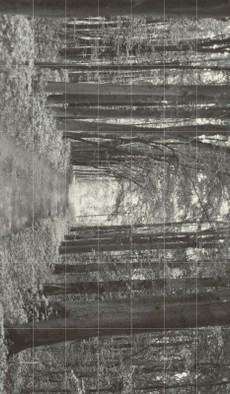 Панно Obraz 42 el. All in white 1 керамическое