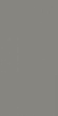 Керамогранит Solid L Ash (121905) 12,5х25 Wow матовый универсальный