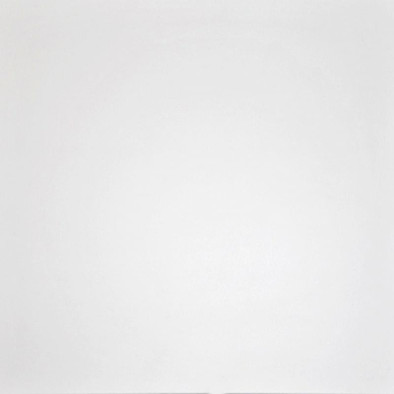 Керамогранит G-100/MR Domino белый матовый 60x60 Grasaro напольная плитка