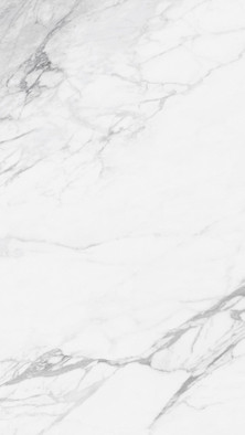Керамогранит Artic Statuario Glossy 60х120 NT Ceramic Marmo полированный универсальная плитка NTT99528P фото Керамогранит Artic Statuario Glossy 60х120 NT Ceramic Marmo полированный универсальная плитка NTT99528P